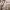https://res.cloudinary.com/billionhands/image/upload/v1775190677/items/ixg82bjhabbwlwkixjxq.webp-2cover