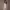 África Baeta - Vestido de Eder Aurre (Campanadas 2025/2026) cover