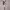 https://res.cloudinary.com/billionhands/image/upload/v1775190694/items/uzoxj1hmuaboeisxttwx.webp-0cover