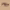 https://res.cloudinary.com/billionhands/image/upload/v1775190706/items/kaiv8wvqjrpl46jgsyld.jpg-0cover
