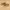 https://res.cloudinary.com/billionhands/image/upload/v1775190709/items/exobrkvlvkccijtu0eww.jpg-2cover