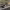 https://res.cloudinary.com/billionhands/image/upload/v1775190808/items/ttprku3t6717wcpv81rx.webp-3cover