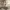 https://res.cloudinary.com/billionhands/image/upload/v1775190845/items/ey0dl3w5xoqslkcoukom.webp-1cover