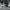 https://res.cloudinary.com/billionhands/image/upload/v1775190860/items/irmaecsyhaxg7pdpwjgc.jpg-2cover