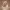 https://res.cloudinary.com/billionhands/image/upload/v1775190890/items/jyr8tsqrg9d7brpv1utn.jpg-3cover
