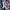 https://res.cloudinary.com/billionhands/image/upload/v1775190977/items/j4opf0klfludlodthwlb.avif-0cover