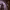 https://res.cloudinary.com/billionhands/image/upload/v1775191052/items/afgn8etfi2hd8hjivci0.jpg-2cover
