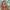 https://res.cloudinary.com/billionhands/image/upload/v1775191171/items/raft9d8cksqy1r5vdejw.webp-1cover