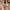 https://res.cloudinary.com/billionhands/image/upload/v1775191230/items/tthqrllaqo1pxefjrjxy.webp-1cover
