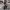https://res.cloudinary.com/billionhands/image/upload/v1775191231/items/txksb9zt2f7oxkzunhoc.jpg-2cover