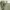 https://res.cloudinary.com/billionhands/image/upload/v1775191384/items/bmwxa3rkc3eb0mapafwn.webp-3cover