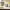 https://res.cloudinary.com/billionhands/image/upload/v1775191558/items/fhxlmsw71w7xbffairof.webp-2cover