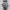 https://res.cloudinary.com/billionhands/image/upload/v1775191630/items/rhcjsxk3tzgioyprn6aj.webp-2cover