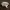 https://res.cloudinary.com/billionhands/image/upload/v1775191632/items/fnyeyxadkibfvavsd1ye.jpg-2cover