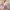 Elegant crepe dresses for special events cover