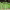 https://res.cloudinary.com/billionhands/image/upload/v1775191854/items/fyv0n1bqyl6x5re2y9jl.jpg-3cover