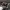 https://res.cloudinary.com/billionhands/image/upload/v1775191858/items/bmfh5uqyqfw8buzpdktg.jpg-2cover