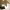 https://res.cloudinary.com/billionhands/image/upload/v1775191859/items/g7zygciexgla83tbfsjk.jpg-3cover