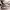 https://res.cloudinary.com/billionhands/image/upload/v1775191889/items/qc28wkfewdtsgfflhz8f.jpg-3cover