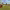 https://res.cloudinary.com/billionhands/image/upload/v1775191914/items/vobvjy3yglv6k2jjig86.jpg-1cover