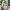 https://res.cloudinary.com/billionhands/image/upload/v1775192156/items/j42nfuihbgb7vei5dnh3.jpg-1cover