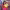 https://res.cloudinary.com/billionhands/image/upload/v1775192157/items/lazyy8d0qoytw8jslnlg.webp-2cover