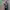 https://res.cloudinary.com/billionhands/image/upload/v1775192284/items/trc8ssx7qlp1vfyvgrjy.webp-3cover