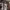 https://res.cloudinary.com/billionhands/image/upload/v1775192285/items/bzuwwynof1vt57gwpbat.webp-2cover
