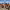 Paintball Wars Laser Tag Combat (Albacete) cover