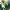 Babacar N'Diaye (Pharco) - Remate Decisivo vs. Enppi (28 de diciembre de 2025) cover