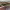 https://res.cloudinary.com/billionhands/image/upload/v1775192512/items/qimn2svjixfx37urbe3h.webp-1cover