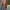 https://res.cloudinary.com/billionhands/image/upload/v1775192537/items/bbxb34ylpog08iubwv0q.jpg-1cover