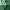 https://res.cloudinary.com/billionhands/image/upload/v1775192765/items/cgzu9ljcs4kyppe16wwj.jpg-1cover