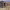 https://res.cloudinary.com/billionhands/image/upload/v1775192857/items/hozjcrucvcovcql6gzyc.avif-1cover