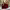 https://res.cloudinary.com/billionhands/image/upload/v1775192859/items/ioihqhuivsiiyprqa5m5.webp-0cover