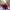 https://res.cloudinary.com/billionhands/image/upload/v1775192860/items/txjdtdq3ms9jyvp1y8ir.webp-1cover