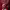 https://res.cloudinary.com/billionhands/image/upload/v1775192911/items/hbvi0zue3k9ua6acr2sg.gif-1cover
