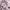https://res.cloudinary.com/billionhands/image/upload/v1775193000/items/bkqvsl5jp2orznptzwpw.webp-1cover