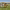 https://res.cloudinary.com/billionhands/image/upload/v1775193060/items/odjzc06audbsl5afzggf.png-3cover