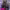 https://res.cloudinary.com/billionhands/image/upload/v1775193094/items/iqpbybxrq0qmgoe8dabu.jpg-1cover