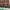 https://res.cloudinary.com/billionhands/image/upload/v1775193263/items/iwqslgdcurl8it4obtfb.jpg-2cover