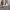 https://res.cloudinary.com/billionhands/image/upload/v1775193269/items/yetav9xk38ibhffuvht6.jpg-3cover