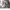 https://res.cloudinary.com/billionhands/image/upload/v1775193271/items/v2ry55td9zpea73bmeee.png-1cover