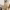 Best Nordic design floor lamps ranking cover
