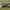 https://res.cloudinary.com/billionhands/image/upload/v1775193357/items/vnswud4hxpdlzhckvzub.webp-2cover