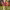 https://res.cloudinary.com/billionhands/image/upload/v1775193409/items/x84djascgcjswoidvapo.webp-0cover