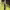 https://res.cloudinary.com/billionhands/image/upload/v1775193433/items/saim8swsolqisfdyvcmn.jpg-3cover