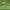 https://res.cloudinary.com/billionhands/image/upload/v1775193449/items/rakyiybydcll4v4mwc82.jpg-2cover