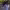 https://res.cloudinary.com/billionhands/image/upload/v1775193519/items/h2gxhjyev16rhwpac1lr.jpg-3cover