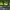 https://res.cloudinary.com/billionhands/image/upload/v1775193522/items/visibeimmayncvgiew7j.webp-2cover